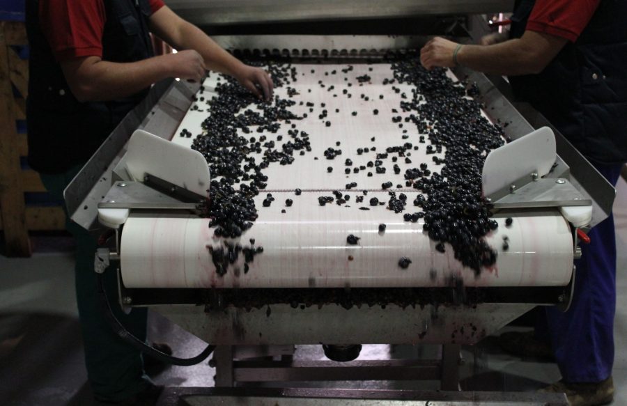 Bodegas-Perica-Club-Perica Mesa de selección