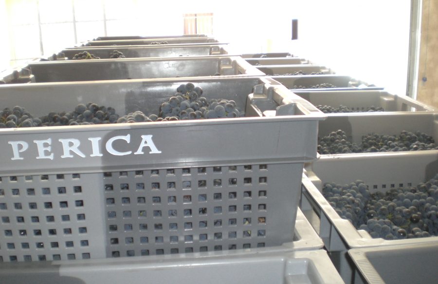Bodegas-Perica-Club-Perica Cajas Vendimia